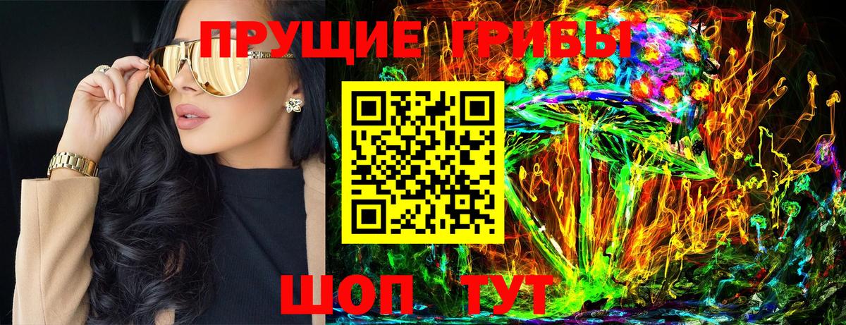 Галлюциногенные грибы Psilocybine cubensis  Вход с VPN  Татарск 